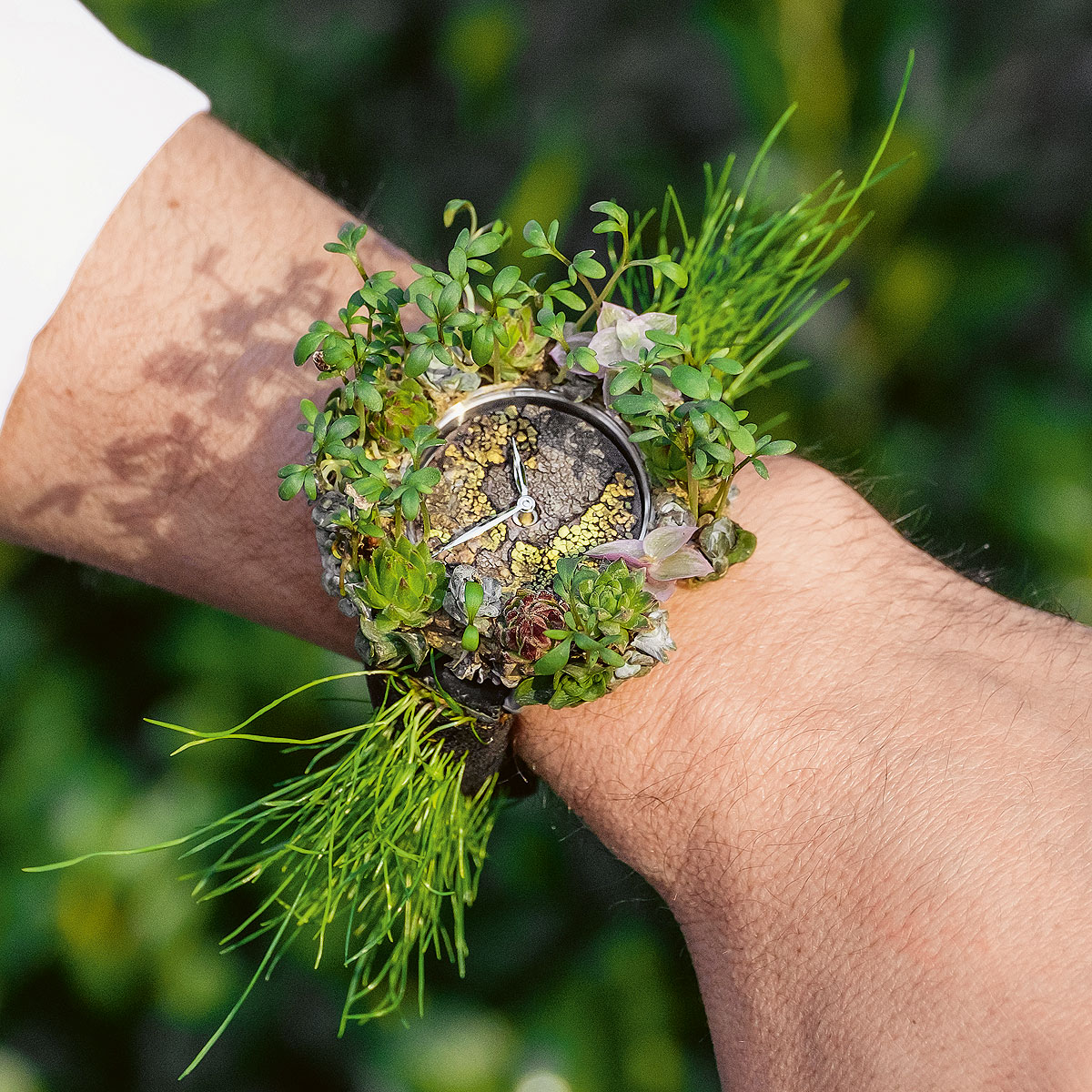 Sustainable luxury watch materials